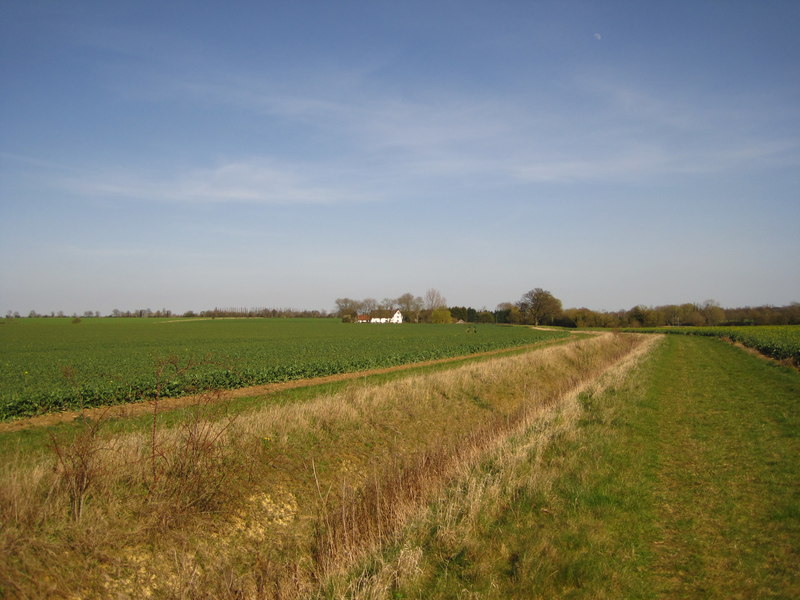 View towards Brook Farm © Chris Holifield cc-by-sa/2.0 :: Geograph ...