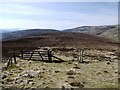 NT9419 : Gate south-west of Hedgehope Hill summit by Andrew Curtis