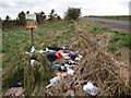 Rubbish beside the Dunlop-Neilston road