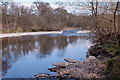 Shingle banks on the Ettrick Water