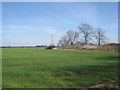 View towards Billyards Farm