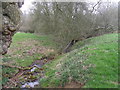 SP0324 : Beesmoor Brook by Terry Jacombs