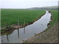 TV5198 : Channel at Cuckmere Haven by Malc McDonald