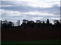 Fields near to Ashludie Hospital