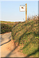 Porsham Farm Lane and sign