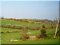 Drumlins north of the A25 (Castlewellan Road)