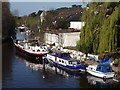 Boats Moored Above Maidenhead Bridge