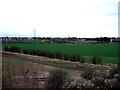 Farmland, Beaumont Hill