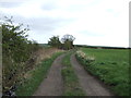 Track towards Sunniside (bridleway)