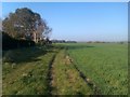 Footpath along edge of field, Stubbington