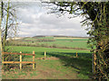 Gateway and arable land southeast of Standlynch Farm