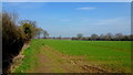 Footpath along the field edge