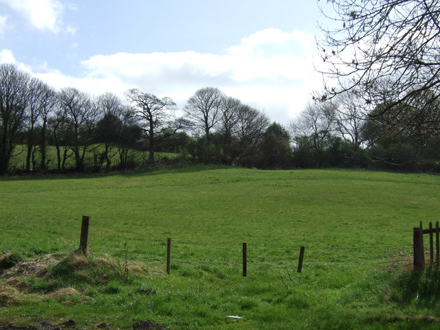 Farmland off Market Lane