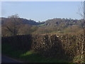 View from Pootings Road, Crockham Hill