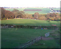 Grazing land, Chester Moor Farm