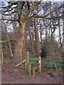 SJ8167 : Stile into wood north of Clonterbrook Farm by Richard Dorrell