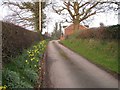 Road into Wornish Nook