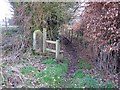 Footpath in Wornish Nook