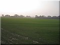 Open field north of Wornish Nook