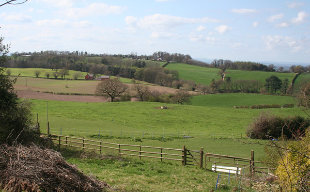 View from lower slopes of Burwardsley Hill
