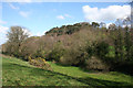 View towards Willow Hill, Burwardsley