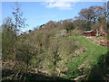 Path up Willow Hill, Burwardsley