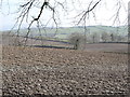 Arable land along Sentry Box Road