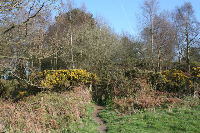 Footpath near Bulkeley Hill Farm