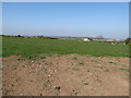 Farmland at the western end of the Knockiveagh ridge