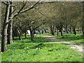 Path through Hampden Park