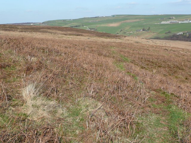Footpath east of the shooting box, Turley Holes and Higher House Moor