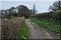 South Wight : Peacock Hill