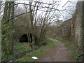 Track and Kirkwood Beck head under the railway