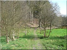 SD9922 : Footpath towards Round Hill Wood by Humphrey Bolton