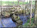 Stepping stones across Turvin Clough