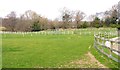 Paddocks beside Bashley Manor Farm House