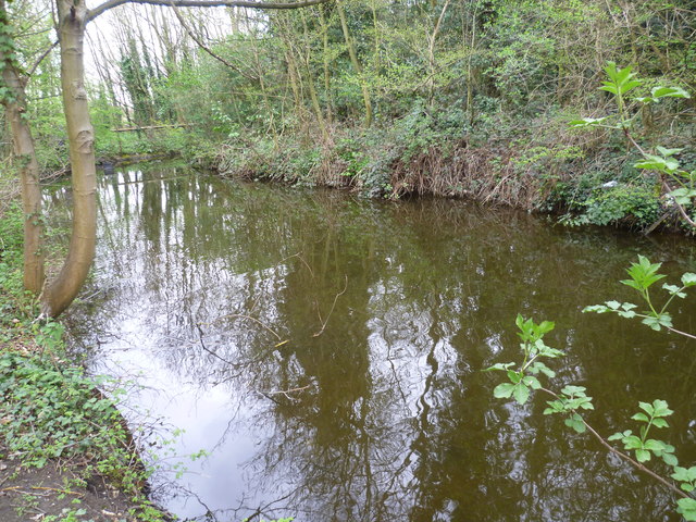 The Longford River in Hanworth Park © Marathon :: Geograph Britain and ...