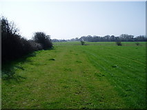 SZ8698 : Public Footpath 92 adjacent to hedge by Peter Holmes