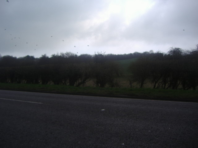 View from the A5 near Markyate