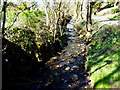 Barnoldswick:  Butts Beck