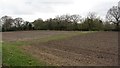 SJ6879 : Horticultural plot, Bate Heath by Richard Webb