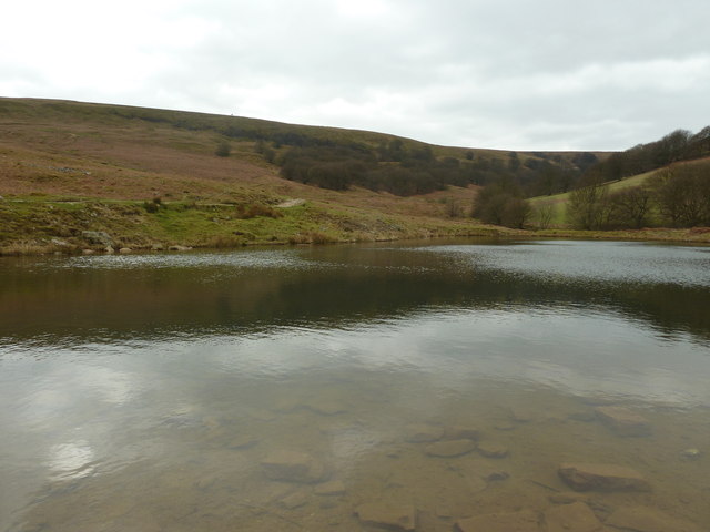 Looking across Cwm Lickey pond at water level