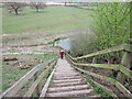 Climbing the steps