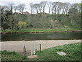 The River Eden at Stanwix, Carlisle