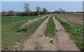 Public bridleway to Foston