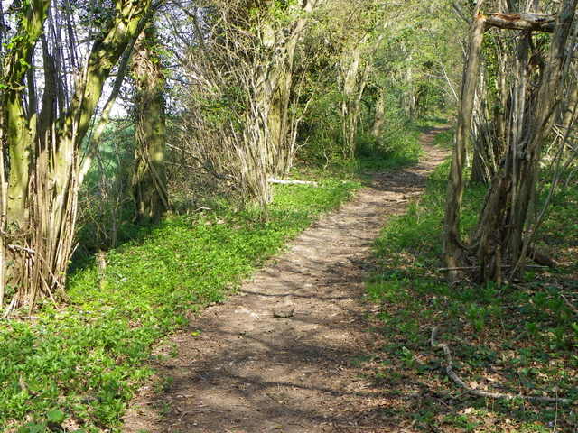 Bridleway to the Ox Drove