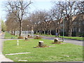 Tree stumps. Queens Walk (2)