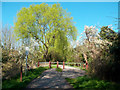 London Loop Path, West Ewell