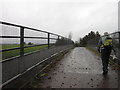 NY4559 : Crossing over the A689 near Crosby-on-Eden by Ian S