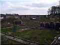 Allotments at Harthill